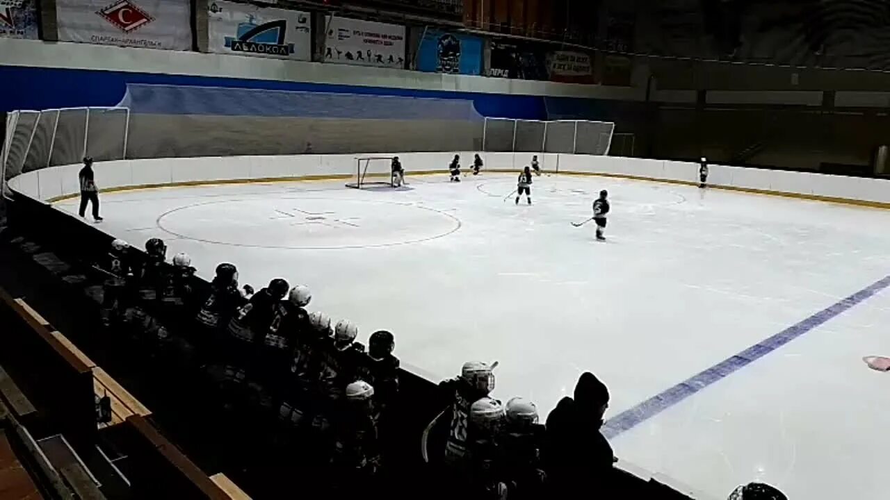 Дворец спорта архангельск. Дс архангельск. Беломорец 2012 северодвинск. Ночной архангельск. Дворец спорта архангельск набережная северной двины 38.