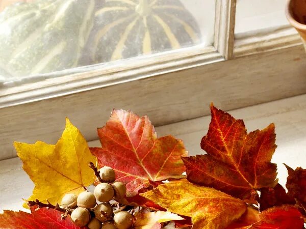 Листья на подоконнике. Осень на подоконнике. Осенние листья на подоконнике. Кленовые листья на подоконнике. Листья клена на подоконнике.