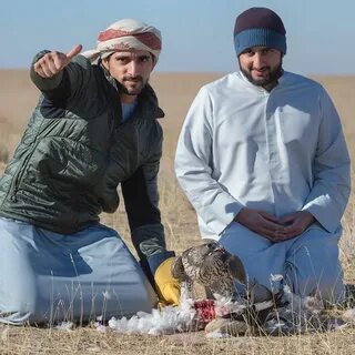 Шейх хозяин пустыни