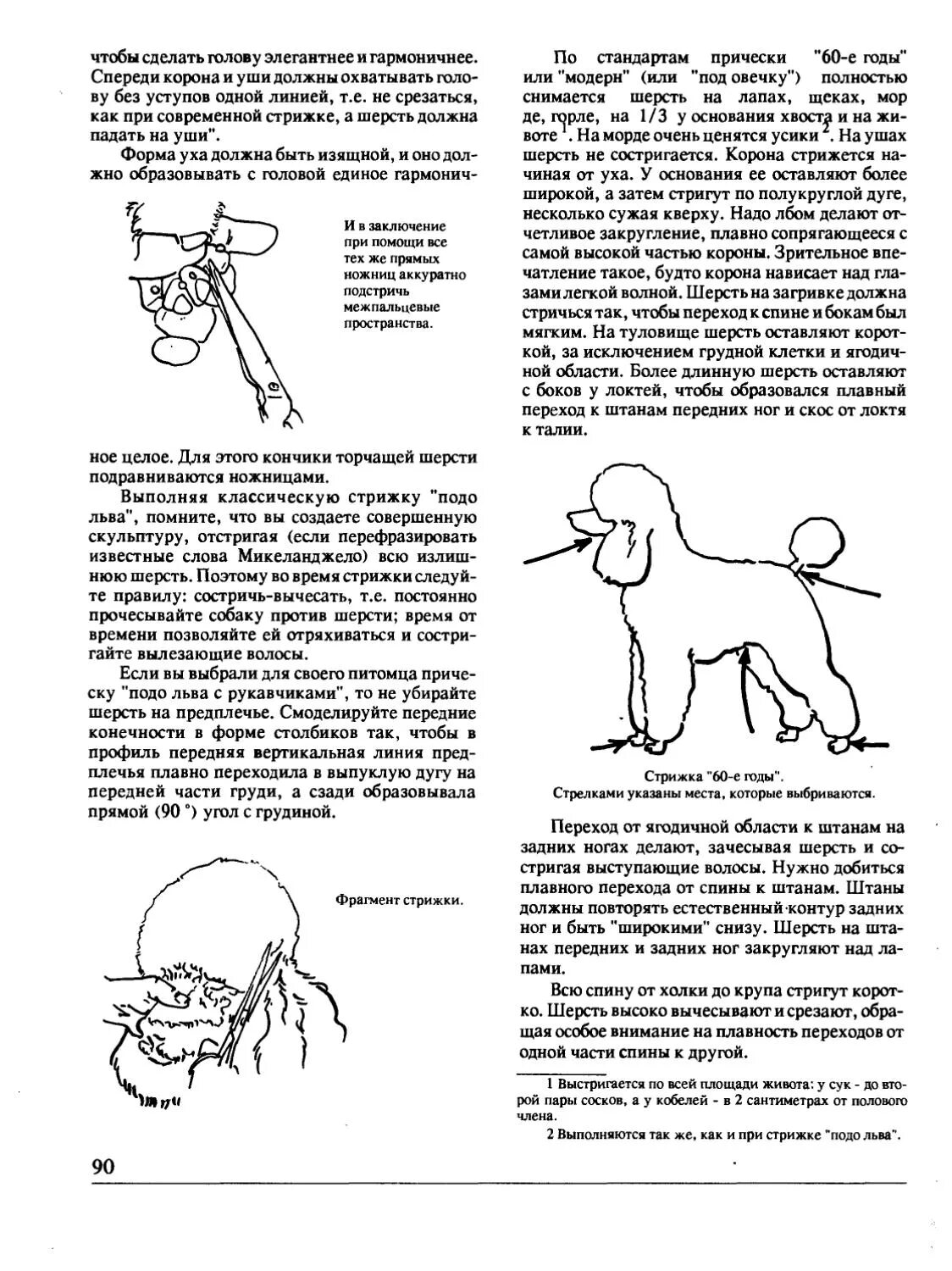 Как стричь шерсть собаки. Схема стрижки собак. уход за шерстью собак схема. как зафиксировать собаку для стрижки. как ухаживать за шерстью собаки.
