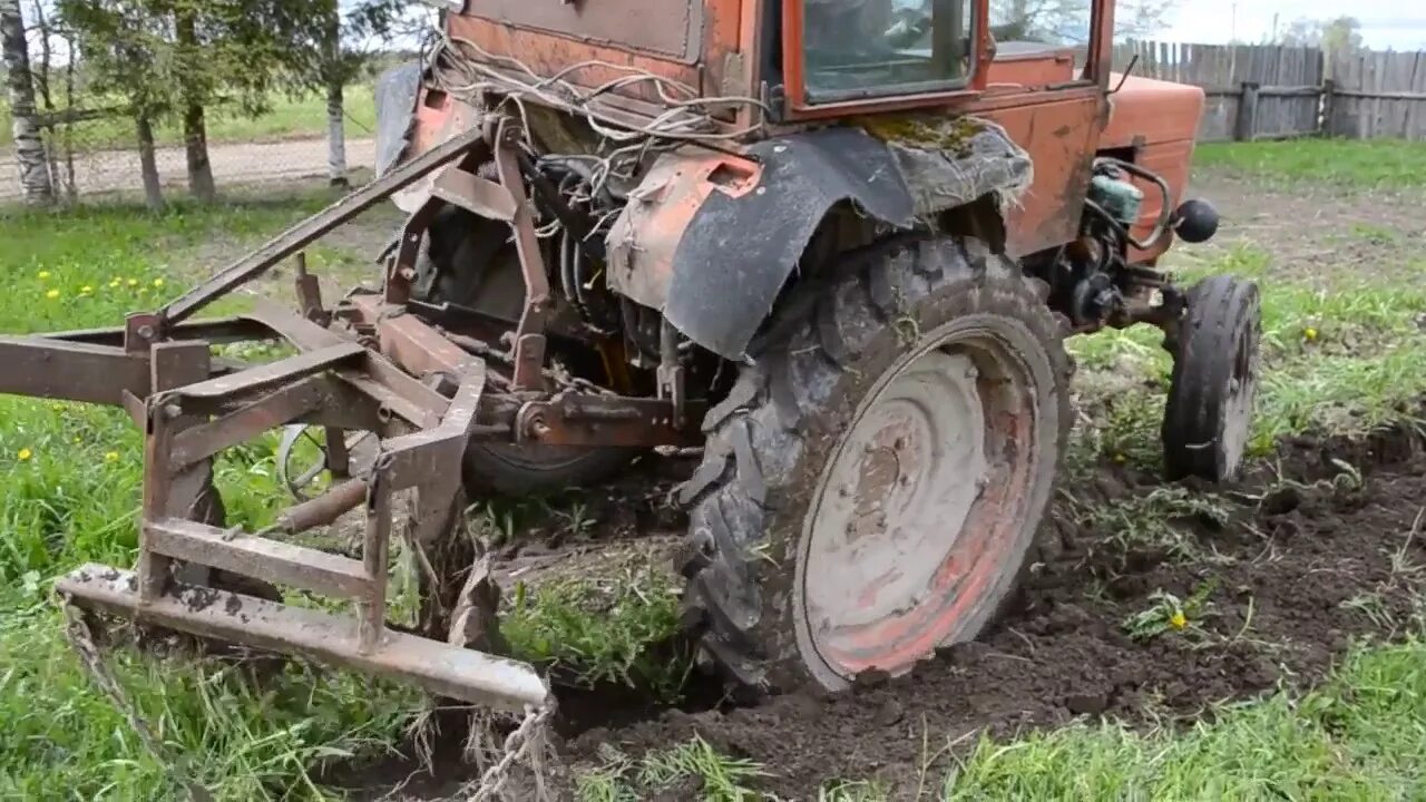 Посадка под плуг. Плуг для посадки картофеля для трактора. Посадка картофеля под плуг трактором.