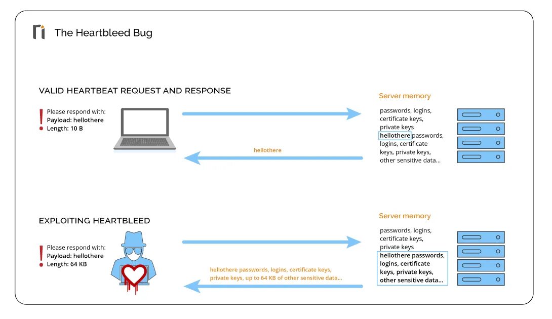 Heartbleed. Угроза Heartbleed. Heartbleed вирус. Уязвимость Heartbleed как выглядит. Ssl library