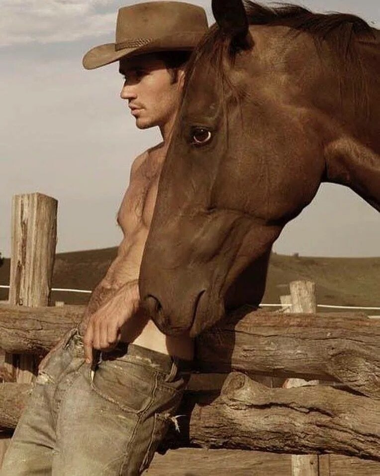 мальчики жеребцы