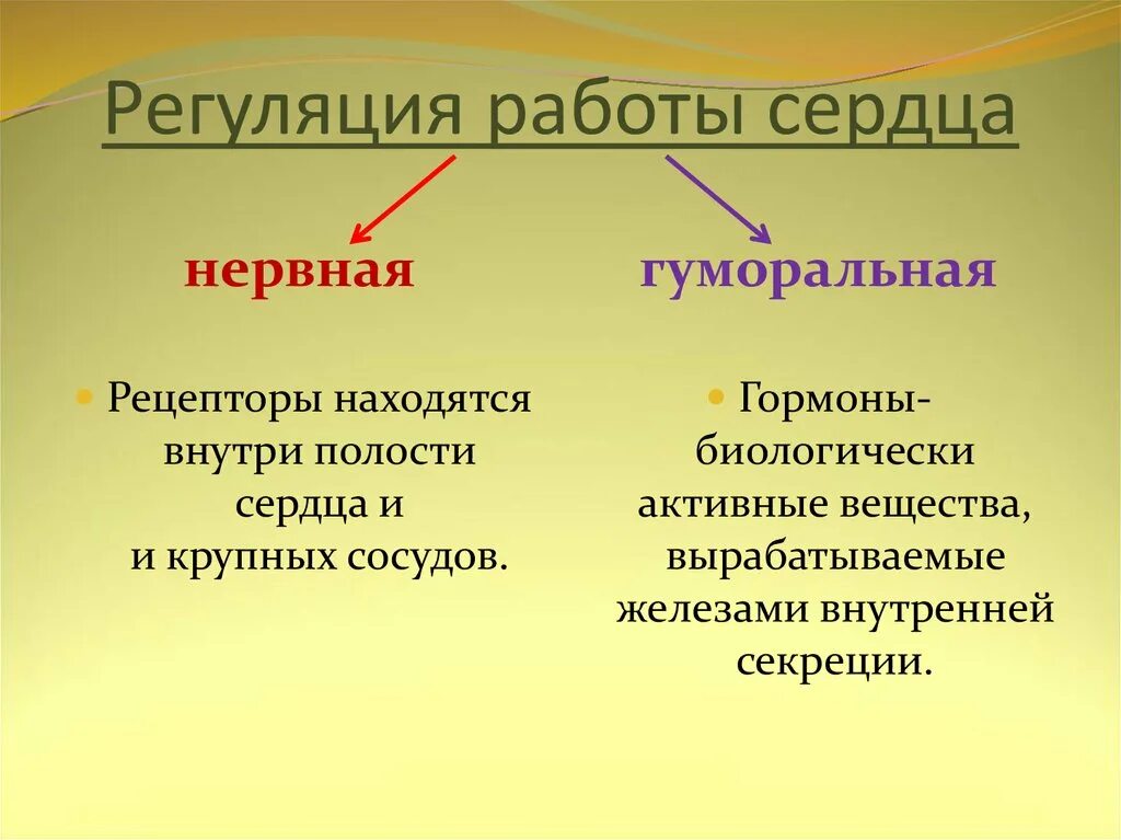 Нервная и гуморальная регуляция сердечной деятельности. Нервная и гуморальная регуляция деятельности сердца таблица. Регуляция работы сердца нервная и гуморальная схема. Типы регуляции работы сердца. Нервно гуморальная реакция