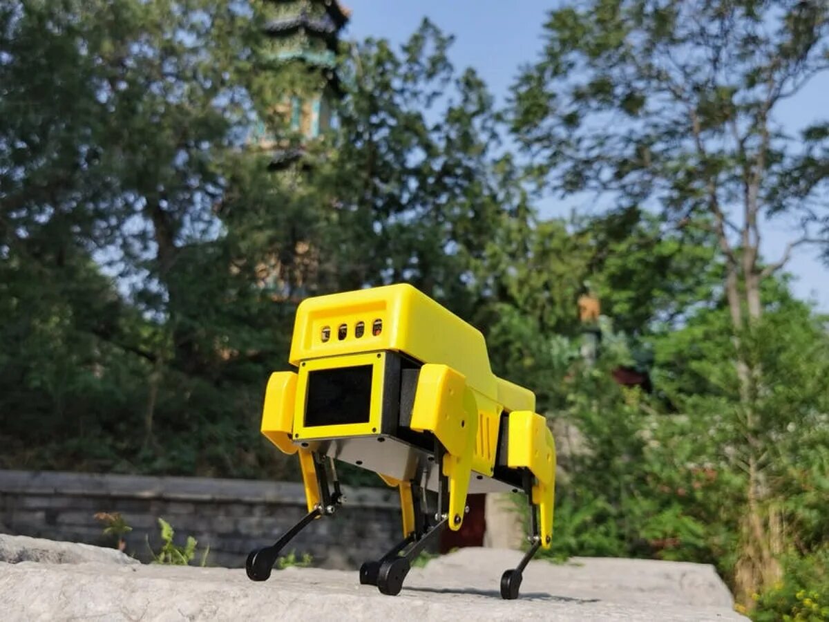 Robot edition
