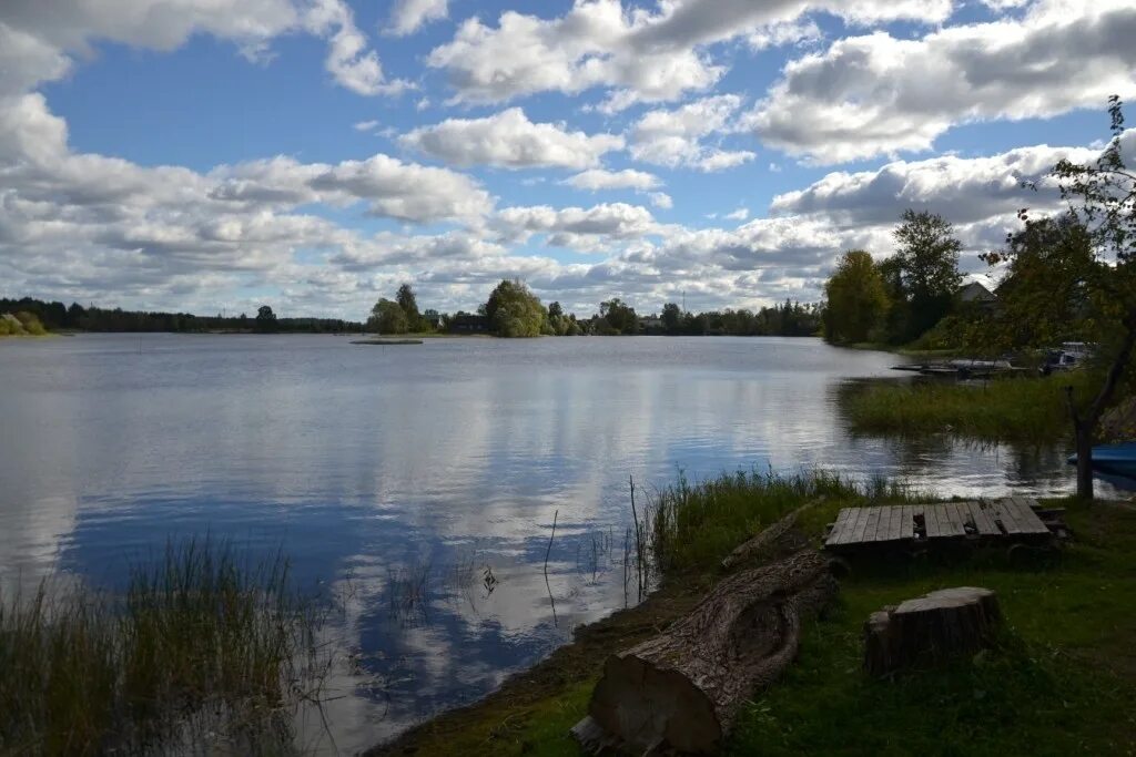 Погода пено тверская на неделю. Городское поселение Пено. Волга поселок Пено. Пено Тверская область. Поселок Пено Тверская область.