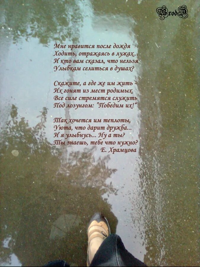 Идут дожди слова. Дожди: стихи. Стихотворение про дождь. Стихи о Дожде красивые. Стихи про дождь короткие.