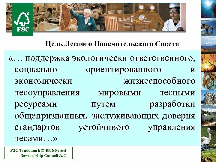 Цели совета первых