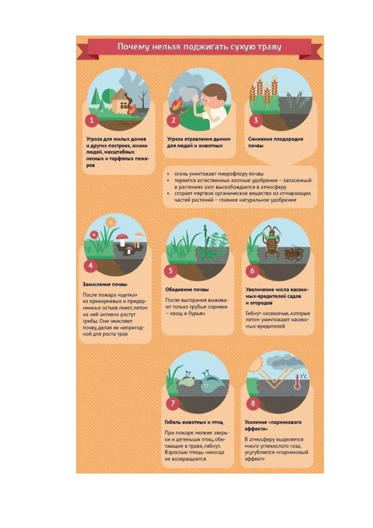 что запрещено делать при утечке газа. почему нельзя зажигать. почему нельзя сжигать сухую траву. нельзя сжигать сухую траву рисунок. запрещается зажигать свечи и.