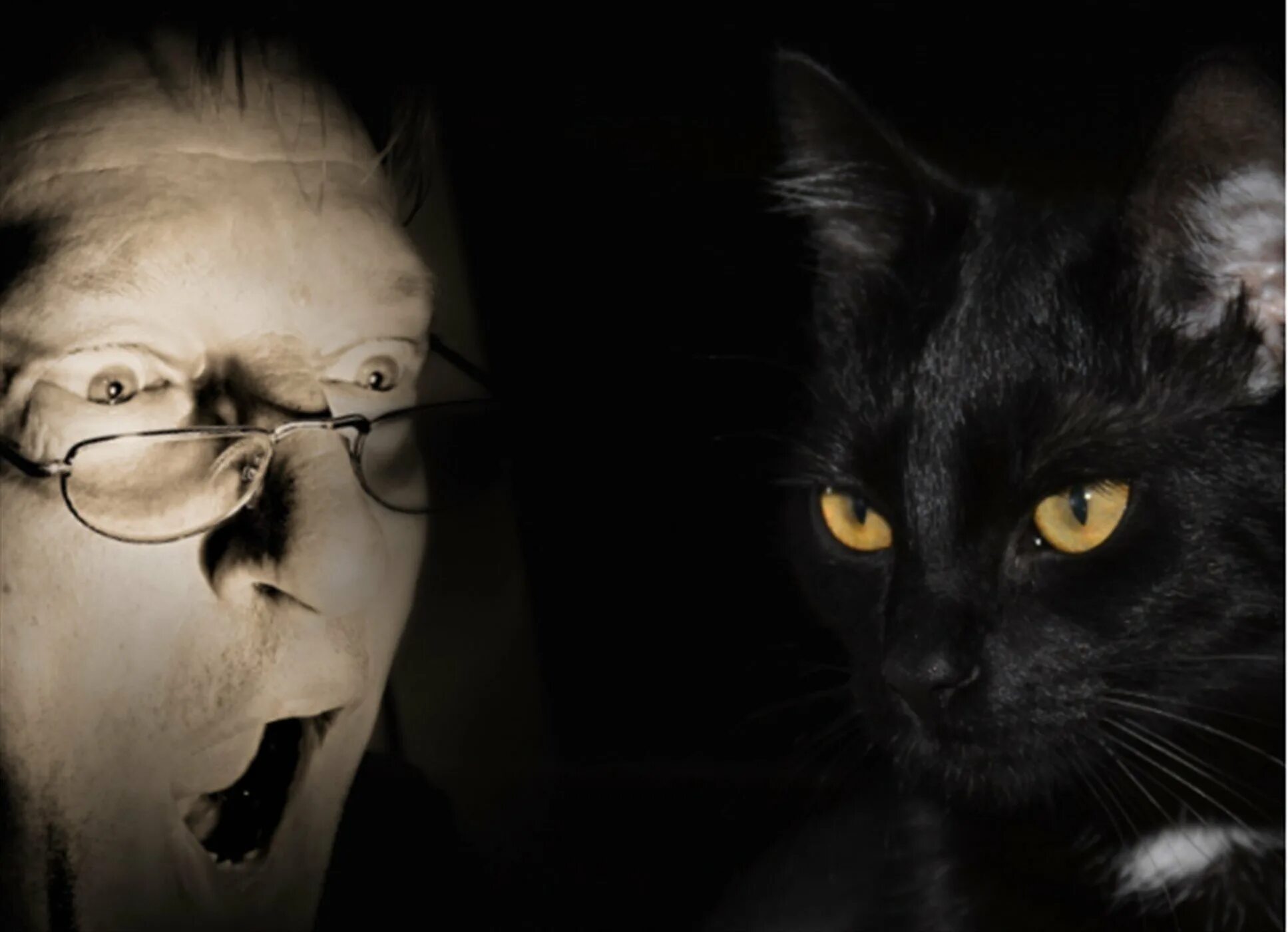 Закрытый враг. Враги кошек. мужчина и черная кошка. черная кошка человек. черный кот вор.
