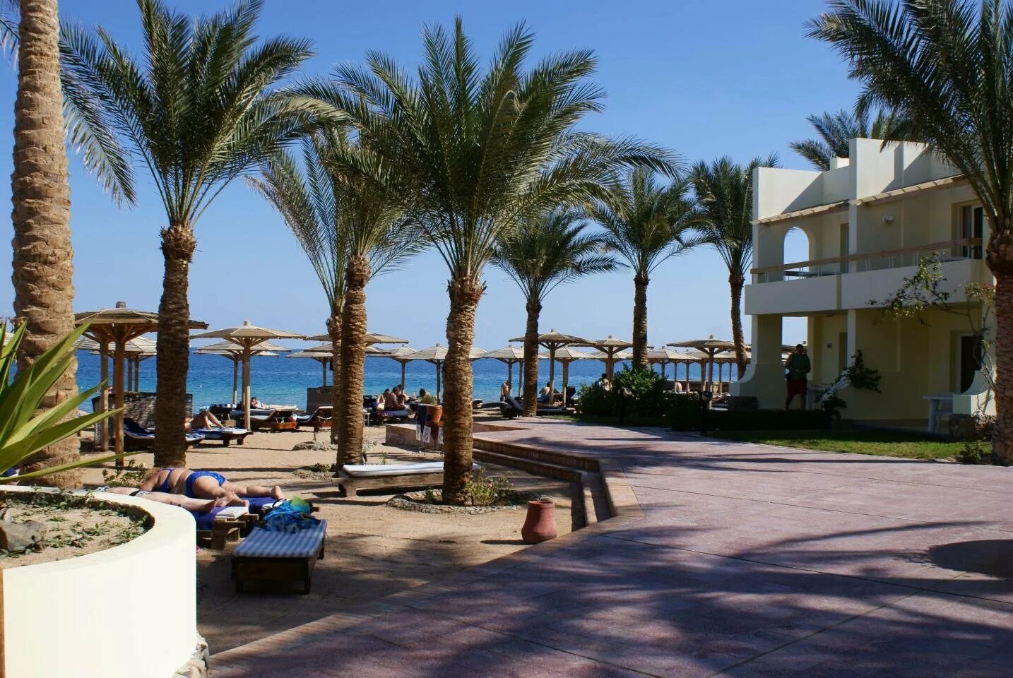 Пальм бич резорт египет. Палм бич хургада. palm beach resort хургада. хургада отель палм бич. palm beach resort 4 хургада.