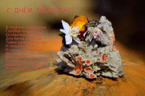 День геологии