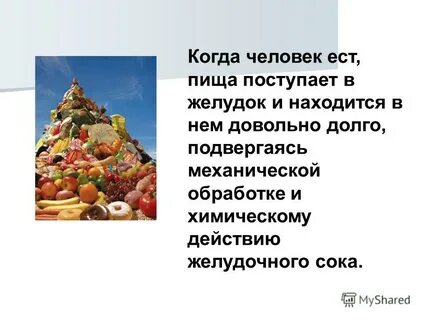 Пищи поступают не в