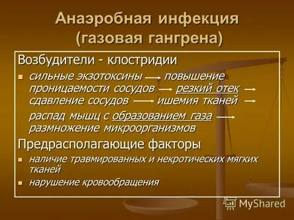 Аэробные и анаэробные инфекции