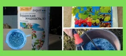 Можно ли опрыскивать деревья осенью бордосской жидкостью