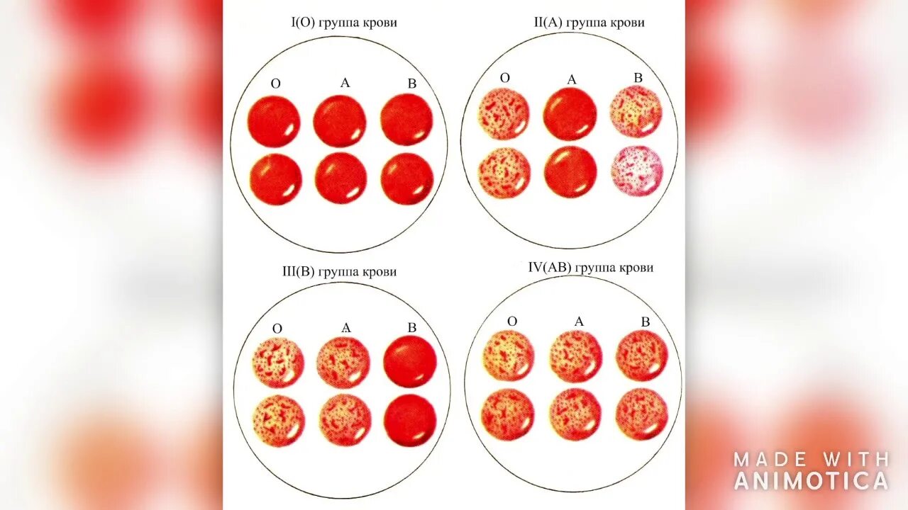 5 положительная группа