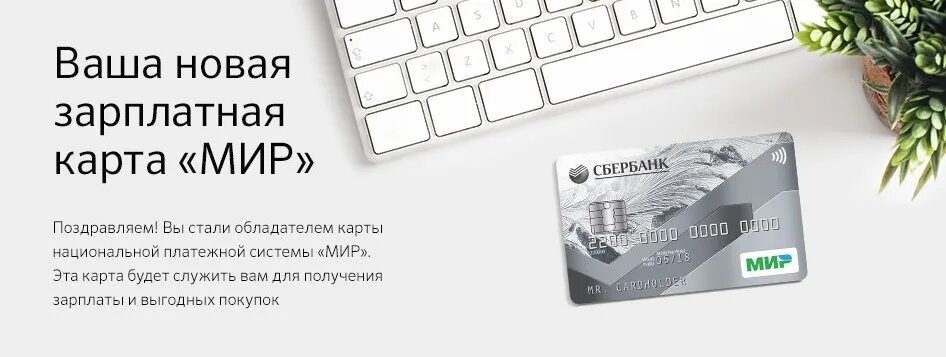 Работает ли карты без интернета. Зарплатная карта. Карта мир Сбербанк. Зарплатная карта Сбербанка. Карта jgkfnyfz.