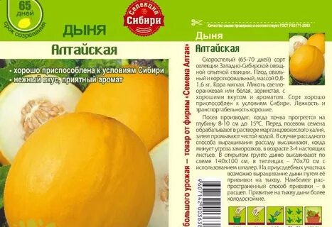 Скороспелая дыня