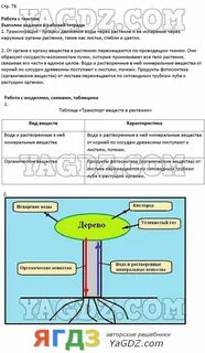 Биология 6 класс сивоглазов параграф 17