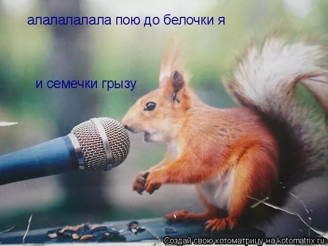 Тексты песен. Слова песни весенняя. Текст песня яумачечая якснс. Пришла и пою. Проснись и пой открытка.