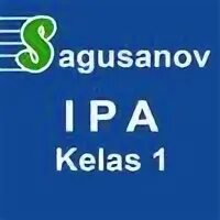 Приложение ипа