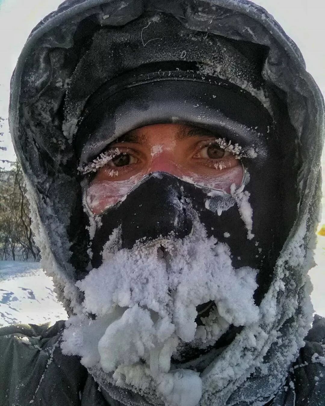 Оймякон Мороз минус 60. Морозы в Якутии. Сильный Мороз.