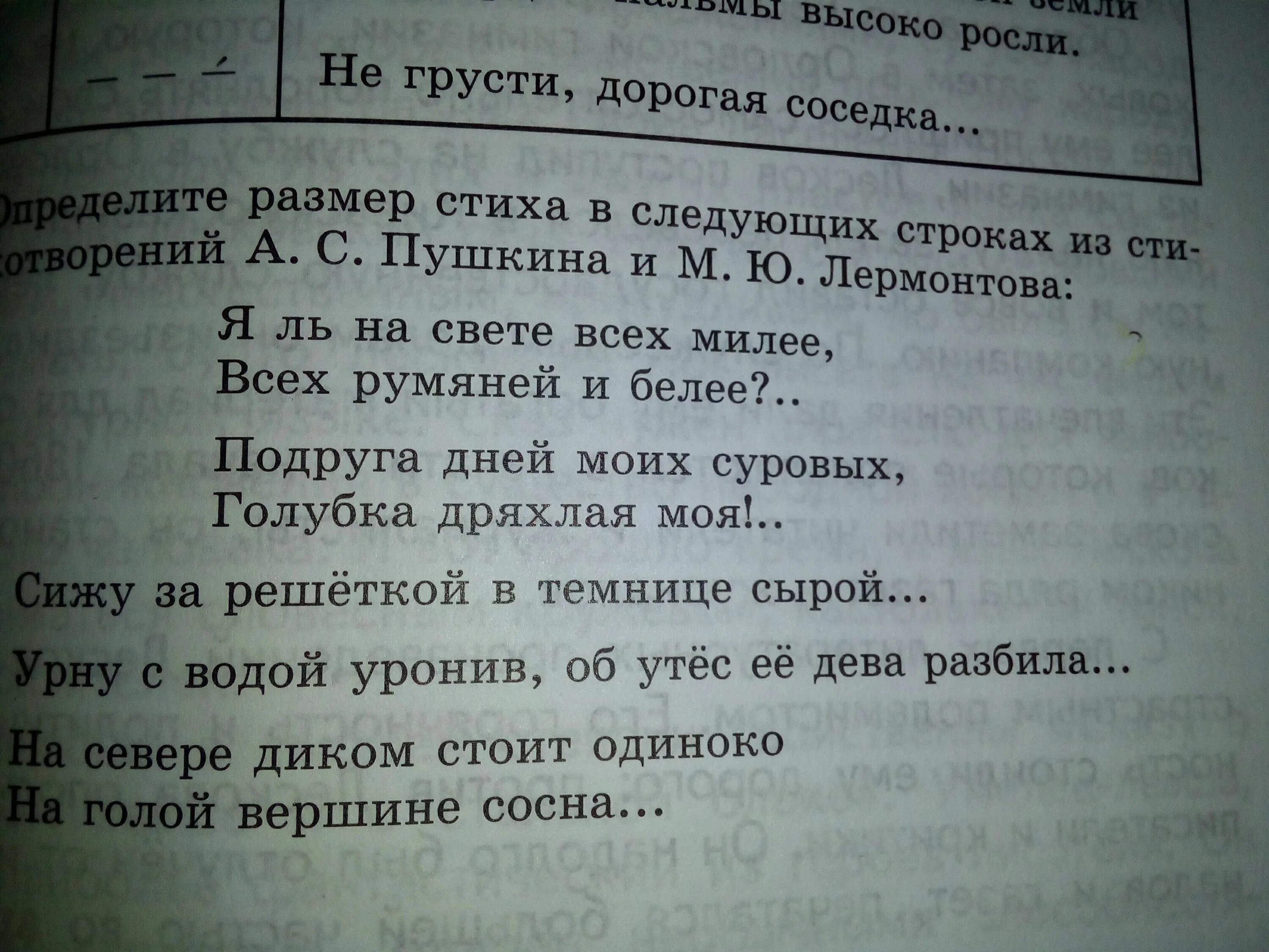 Каким размером было написано стихотворение. Стих не грусти дорогая соседка. Стихотворный размер стихотворения не грусти дорогая соседка. Не грусти дорогая соседка Автор. Кто написал стихотворение не грусти дорогая соседка.