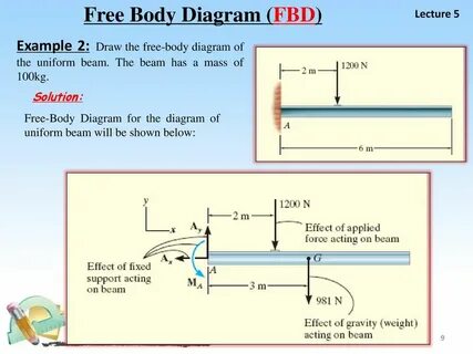 Freed body