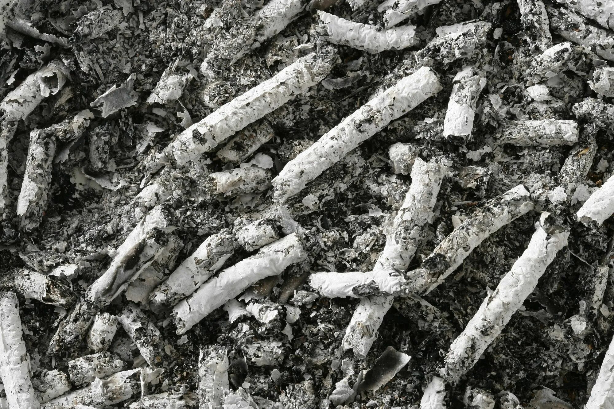 Пепел от сигарет текстура. Пепел от сигарет фото. Пепел от окурка. Табачный пепел. Пепел сигареты.