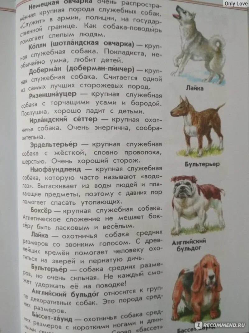 Атлас определитель 2 класс породы собак. Атлас атлас-определитель породы собак. атлас определитель от земли до неба породы собак крупные собаки. атлас-определитель от земли до неба 2 класс породы собак. атлас определитель породы собак 2 класс.
