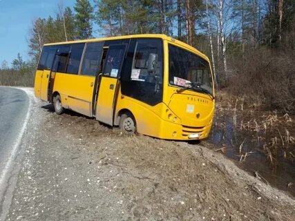 Автобус муром ковров