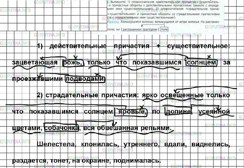 Русский 6 класс ладыженская упр 100. Причастный оборот словосочетания. Выпишите словосочетания с причастиями. Выпишите словосочетания действительное Причастие+существительное. Выпишите словосочетания Причастие существительное.