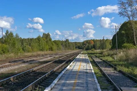 Кабожа новгородская область