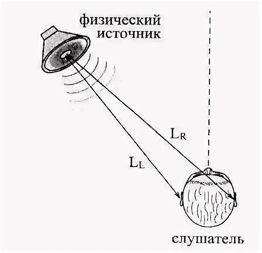 Определить направление звука. Механизм бинаурального слуха физиология. Бинауральный эффект. Определение бинаурального слуха. Локализация источника звука.