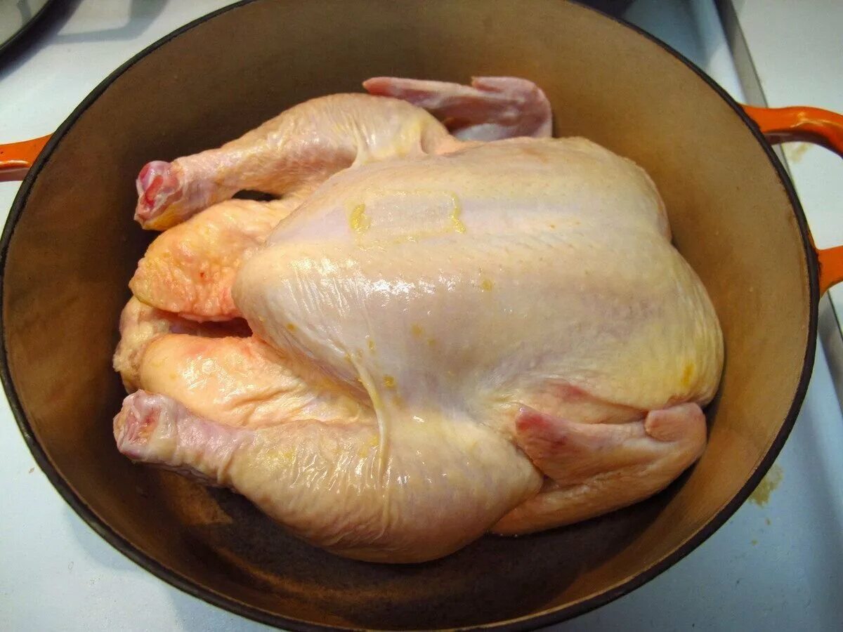 Домашняя курица. Курица мясо. Курица сырая. Тушка куриная. Чтобы домашняя курица была мягкой