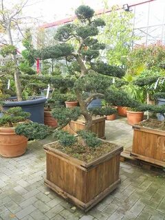 Maison des plantes