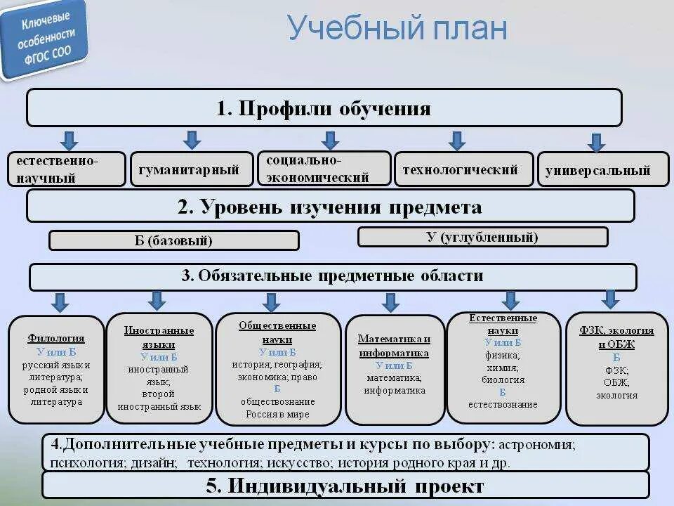 Какие учебные предметы являются обязательными. Ключевые особенности ФГОС соо. Учебный план схема. Учебный план среднего общего образования. Профили обучения ФГОС соо.