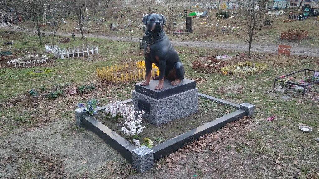 Где хоронят животных. Кладбище домашних животных в киеве. собачье кладбище в москве. памятники на кладбище животных.