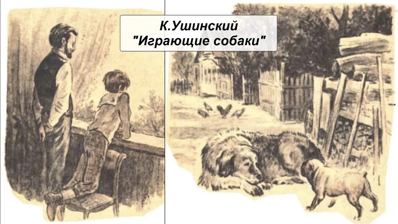 Рассказы и сказки, ушинский к. Рассказы о животных льва николаевича толстого. Мопс и полкан ушинский. Играющие собаки рассказ константина ушинского. Ушинский играющие собаки.