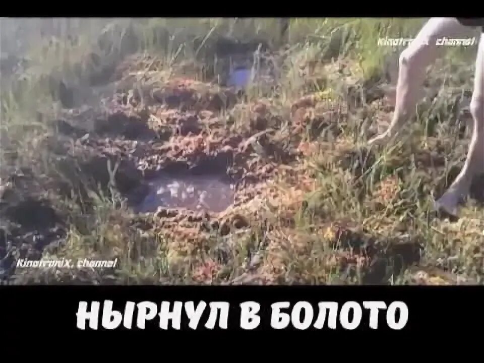 Спас тонущего в болоте. Спас тонущего в болоте