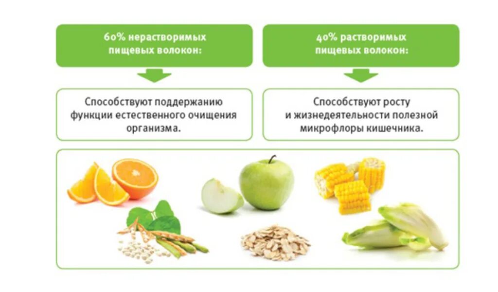 Нерастворимая клетчатка продукты. Растворимые и нерастворимые пищевые волокна. Клетчатка нерастворимые пищевые волокна. Классификация пищевых волокон. Пищевые волокна Целлюлоза клетчатка.