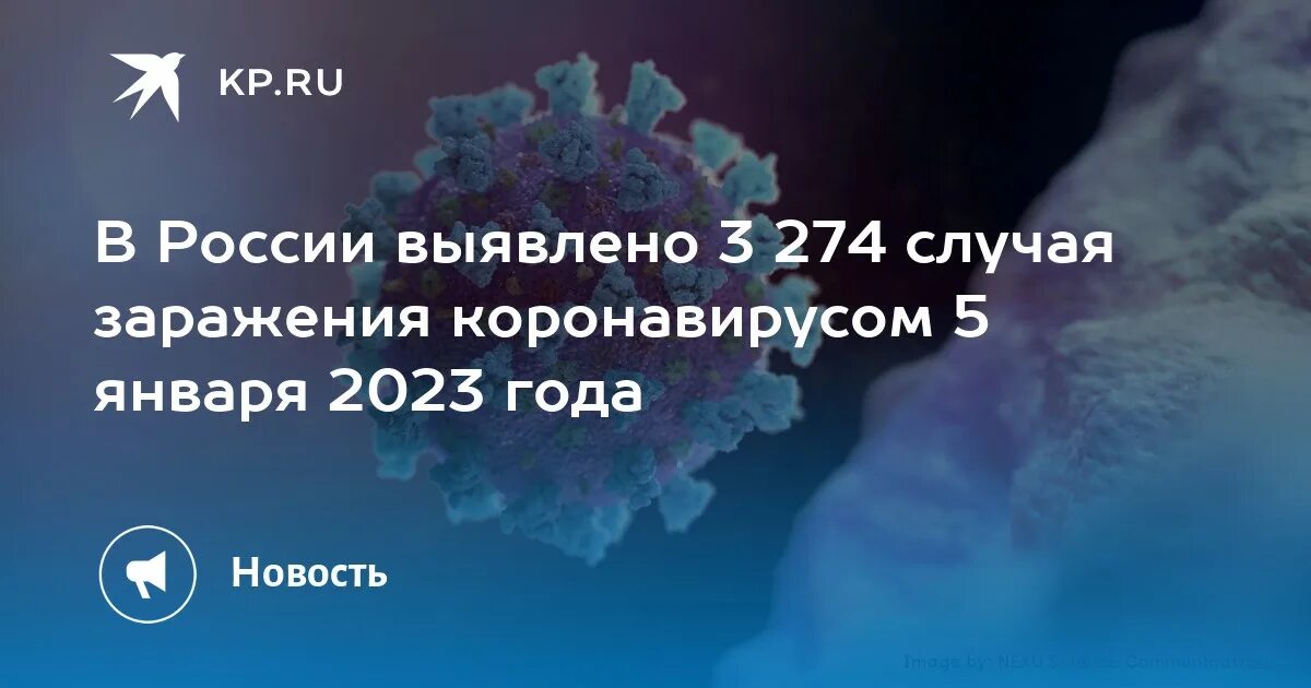 Статистика январь 2023. Коронавирус в 2023 году. Коронавирус в России. Коронавирус статистика Тюмень. Статистика коронавируса в России.