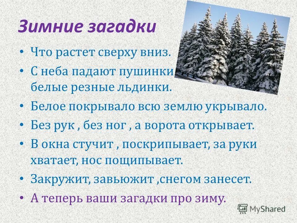 белый снег. снегр. зимний лес под снежным покрывалом. снег сугробы. снежное одеяло.