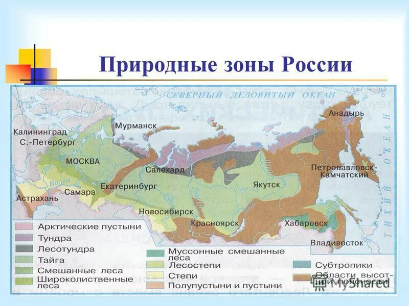 Какие природные зоны расположены в свердловской области. Природные зоны. Природные зоны России Астрахань. Схема природных зон.