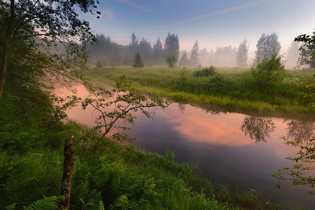 из недавно проснувшихся долин веяло душистой свежестью. из недавно проснувшихся долин веяло душистой свежестью. пологая вершина холма. из недавно проснувшихся долин веяло душистой свежестью. солнце уже довольно высоко части речи.