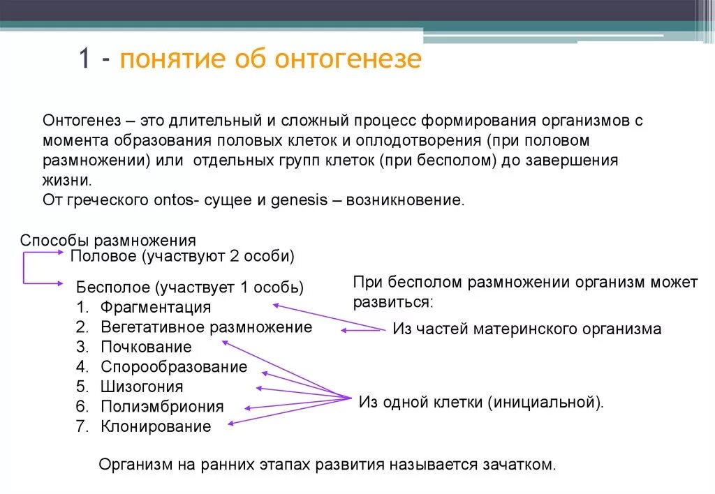 Понятия период онтогенеза. Онтогенез. Понятие онтогенеза. Термин онтогенез. Индивидуальное развитие понятия.