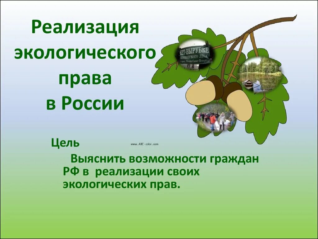 Сохранять природу и окружающую среду право гражданина. Реализация экологических прав граждан. Экологическое право.