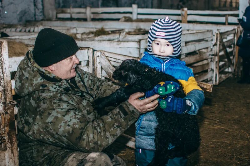 кфх абакан. кфх абакан. кфх республики хакасия расположена. окот в агинском районе фото. уборка урожая.