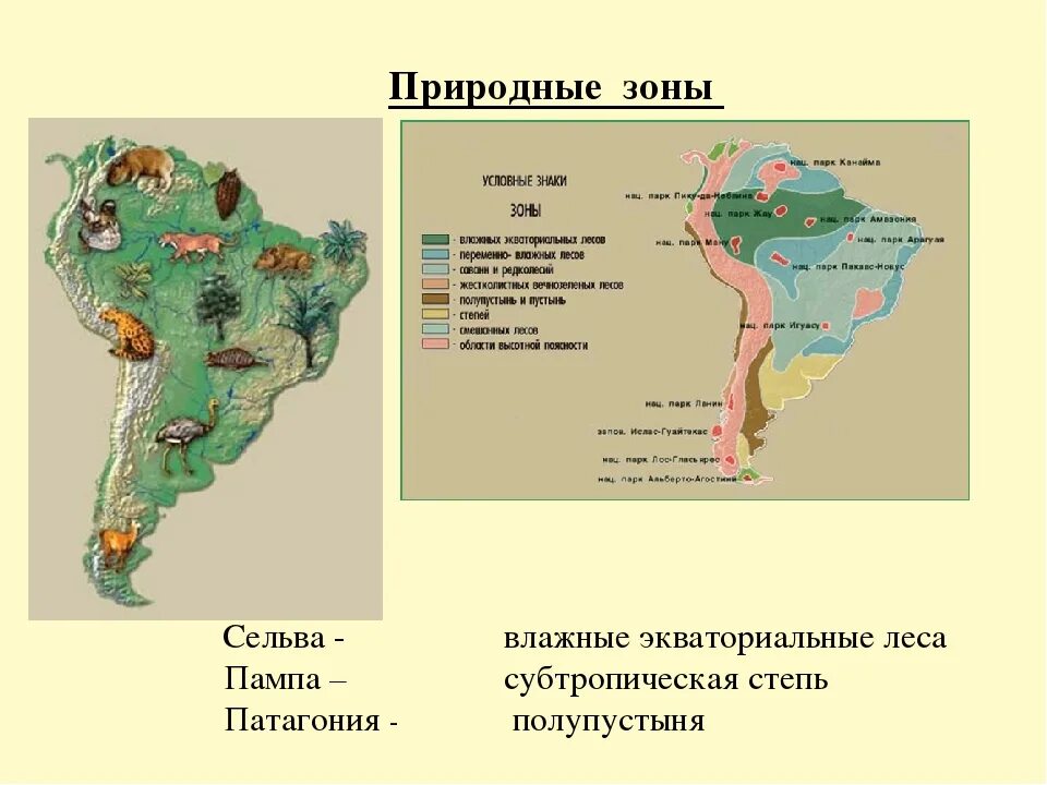 Пампа природная зона южной америки. Природные зоны Южной Америки Сельва пампа. Патагония на карте Южной Америки природная зона. Природные зоны Южной Америки Льянос. Природные зоны Южной Америки Льянос пампа Патагония.