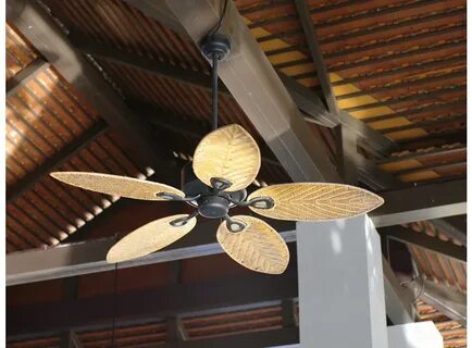 Ceiling fans